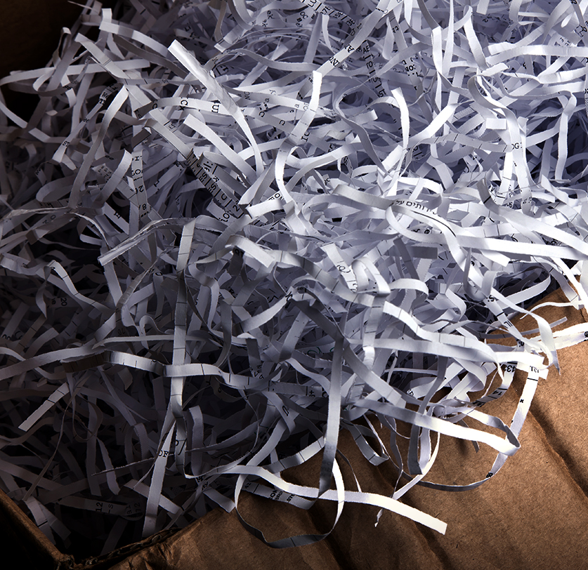 Paper Recycling Numbers Continue to Rise